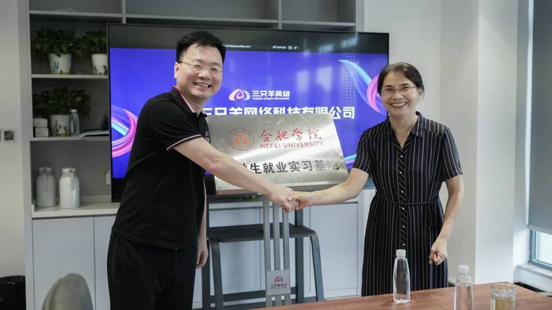 技术顾问的智慧之光:合肥网络技术咨询的未来